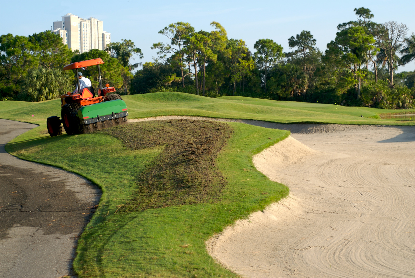 Syringing Turf Copy of FERTILIZATION